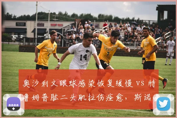 奥沙利文眼球感染恢复缓慢 vs 特鲁姆普肱二头肌拉伤痊愈，斯诺克新赛季复出计划两极化